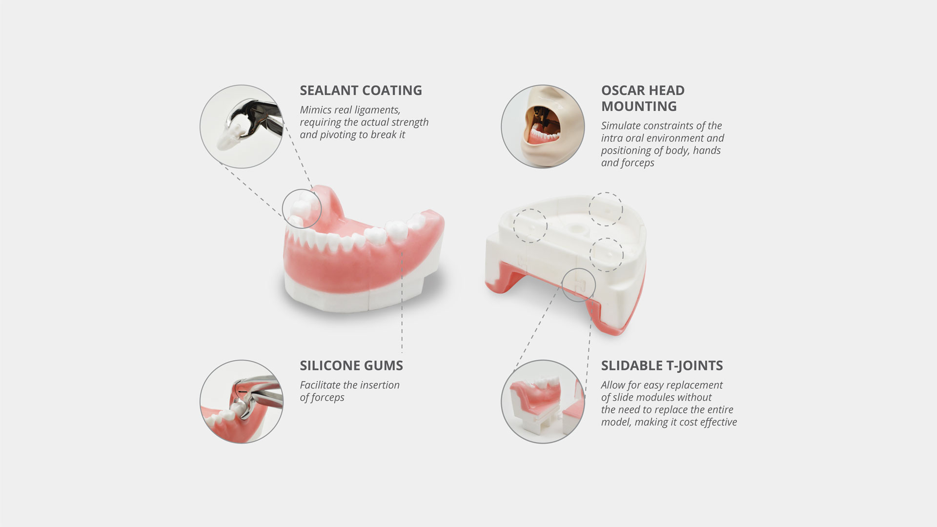 Extrac Product Image 1